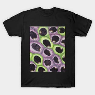 Seeds of Vision T-Shirt